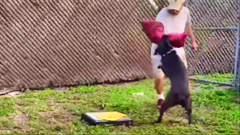 Teaching Dogs to Guard Objects and People