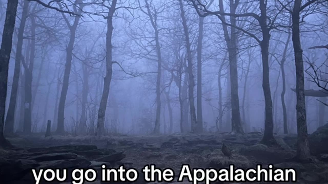 Scary woods