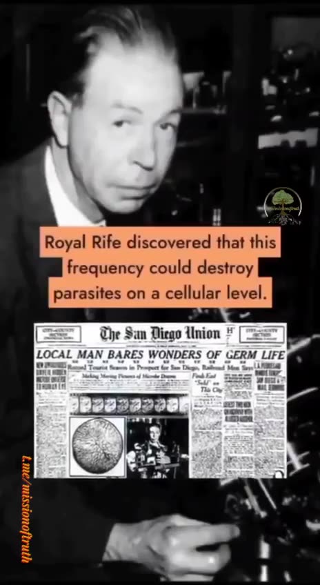 Tina Zimmermann - 🔥This sound kills parasites 💥 (freedom fighters)