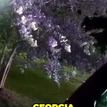 Hilarious Police Encounter a Towed Vehicle and a Shocking Firearm