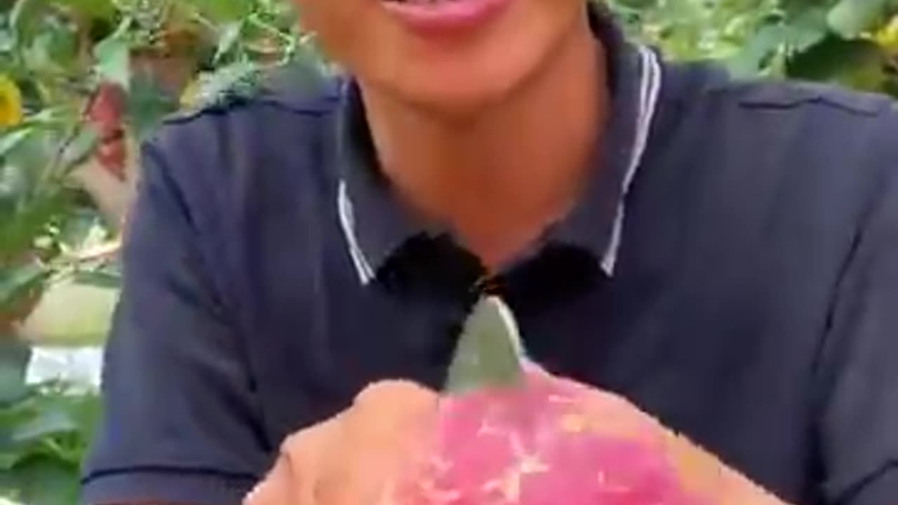 Sweet Apples cutting at farm #farming #harvesting