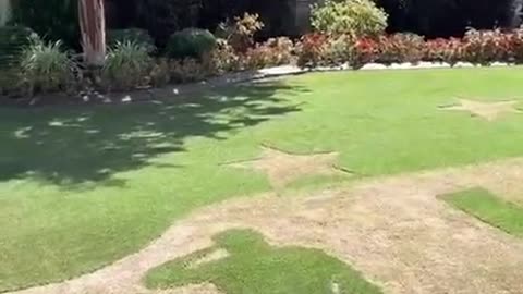 #4th of July #USA #Trump2024 #SaveAmerica #Truth