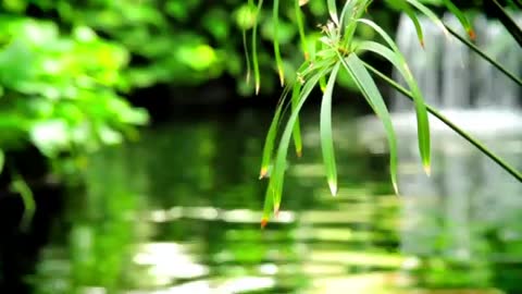 Relaxing Music | Sleeping, Meditation, Stress Relief | [5975] ⭐️