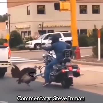 Mostly Peaceful Turkey Protesting Thanksgiving