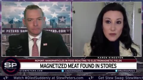 Karen Kingston on Stew Peters Show - Nanotech In Food Supply (May 2023)