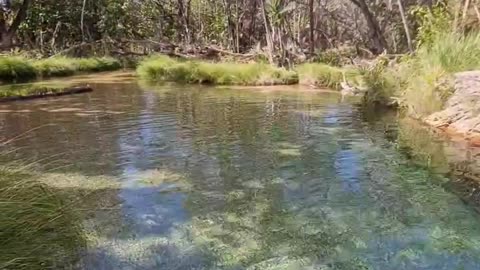 Complexos Águas Lindas 💥 Canjica Demais né A natureza é surpreendente!