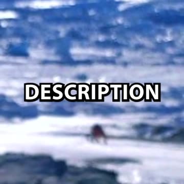 World Secret Informations From Rabbit Hole