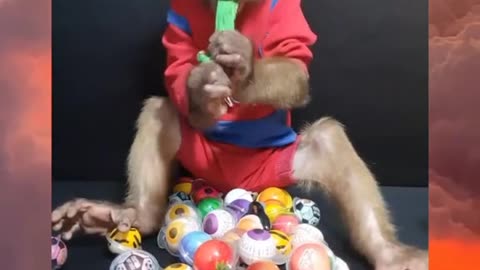 Cute monkey mukbang candy