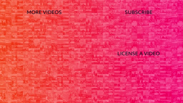 15_The Storyful Cut - Oct 19th '22