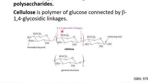 Episode 5/13: Carbohydrates // A Course on Abiogenesis by Dr. James Tour