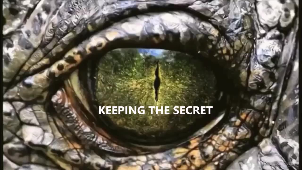 THE TIME HAS COME FOR YOU TO SEE 👀 ‼️