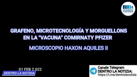 Al microscopio i parassiti MORGELLONS e i microcircuiti nei sieri maledetti