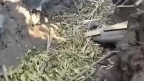 Walking Russian Lines