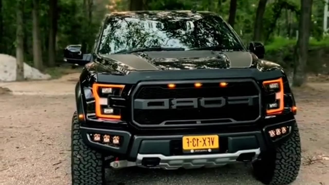 Ford Raptor 2Gen eco 5 litter