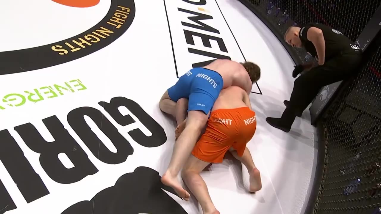 MMA Submissions February 2024