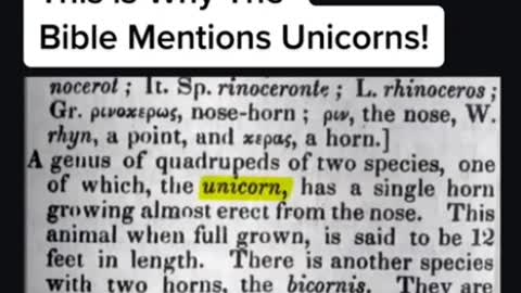 Why the Bible Mentions Unicorns ~