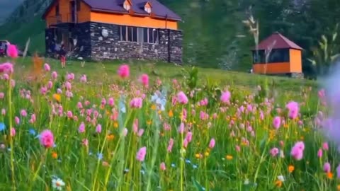 The nature lovers 😍