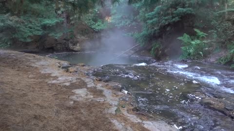 The brain-eating amoebas of Kerosene Creek