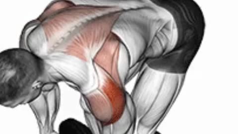 Fitness, dumbbell