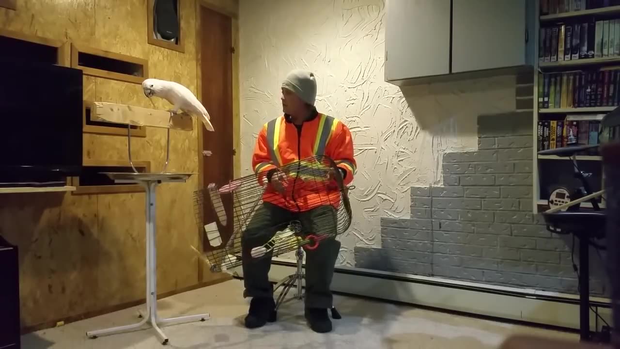 How to piss off a Parrot