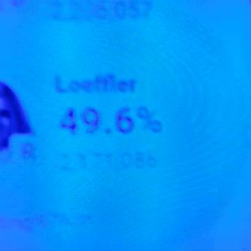 INTERNATIONAL WIDE ELECTION FRAUD VOTING MACHINE CRIME, GEORGIA RUNOFF SHAM ELECTION CRIME 273