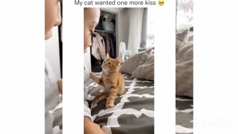 My cat wanted one more kiss 🙂