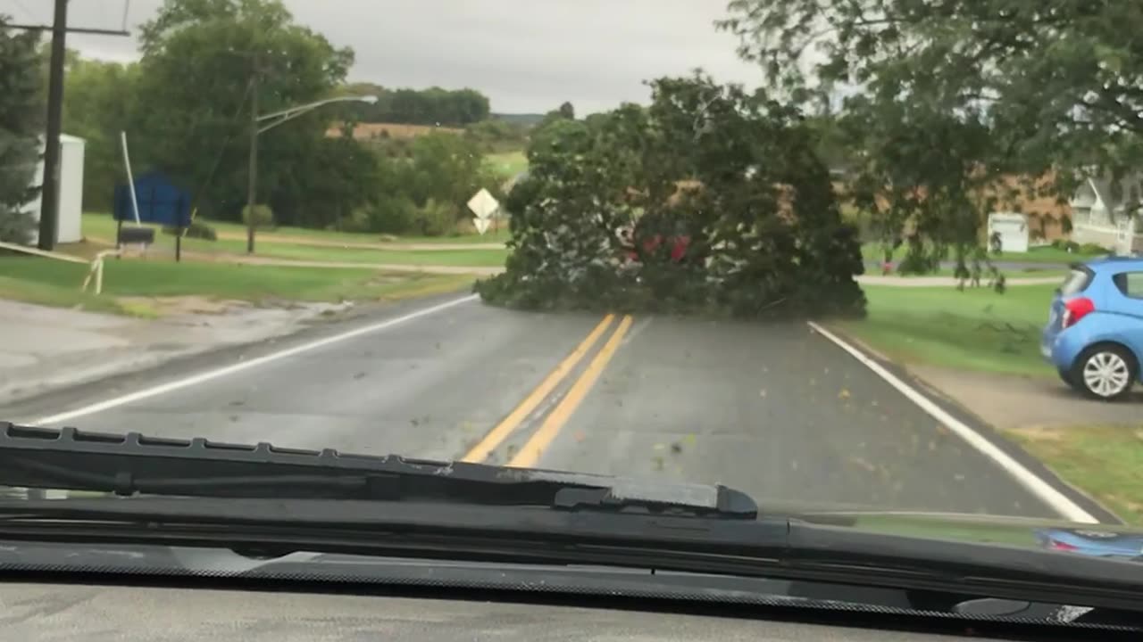 Truck Drags an Entire Tree Down the Road