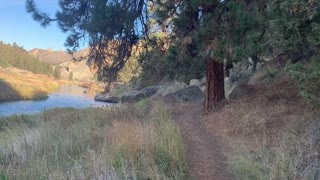 Central Oregon – Smith Rock State Park – Riverside Mighty Ponderosa Pine