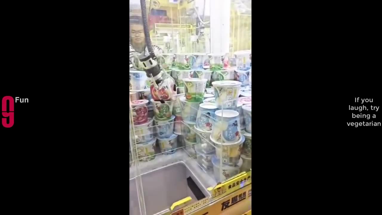 Funny videos compilation