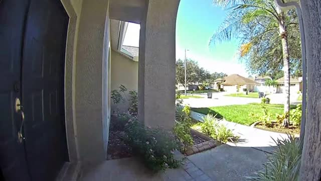 Door to door now