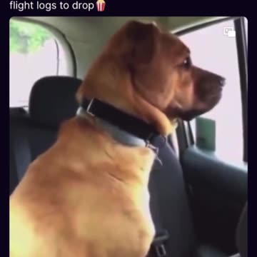 Hollywood & Congress Waiting For Epstein Flight Logs To Drop (Moved To Jan 22nd)