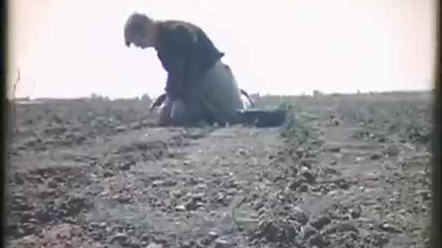 Het Grootslag een polder in Westfriesland van voor de verkaveling (1975)