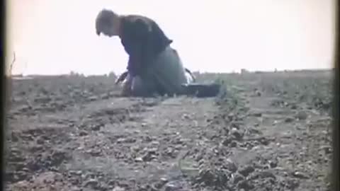 Het Grootslag een polder in Westfriesland van voor de verkaveling (1975)