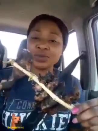 ~RATS ON STICK ANYONE~