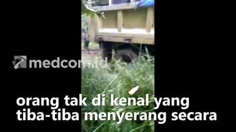 Tragedi trans papua