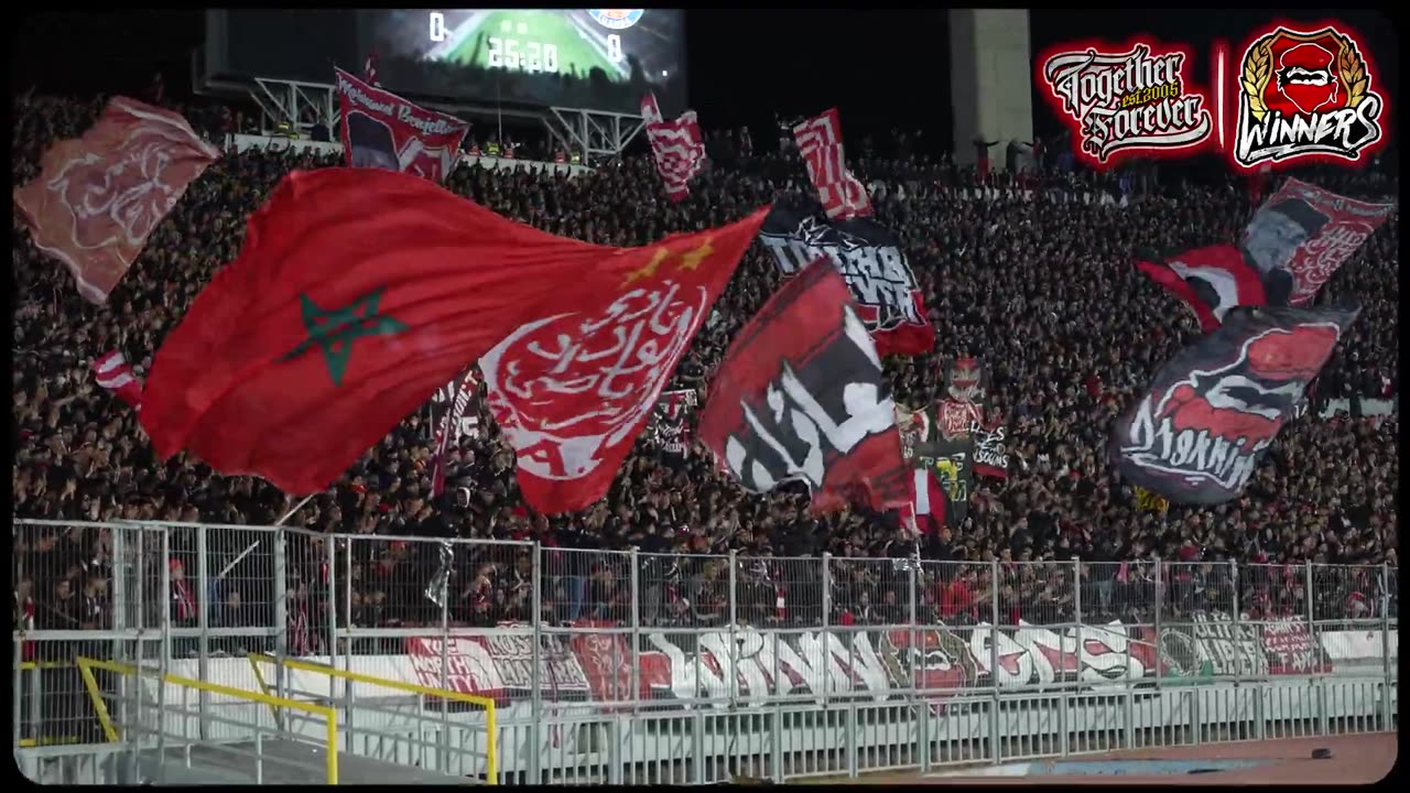 Supporter wydad Casablanca