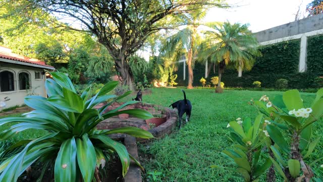 We Move Into Our New House in Barrio Sutiava León Nicaragua | Vlog 10 December 2022