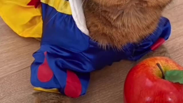 Reminder it’s impossible to be perfect 🤩