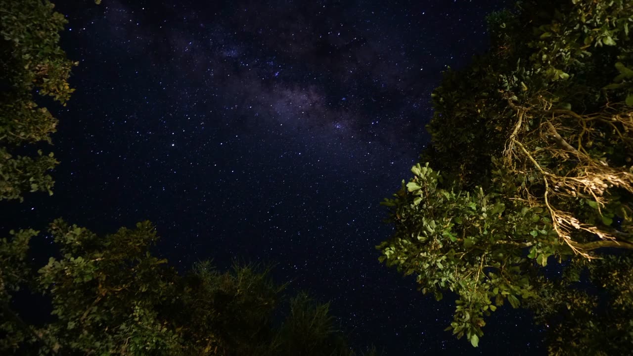 Night sky view with soft relaxing music