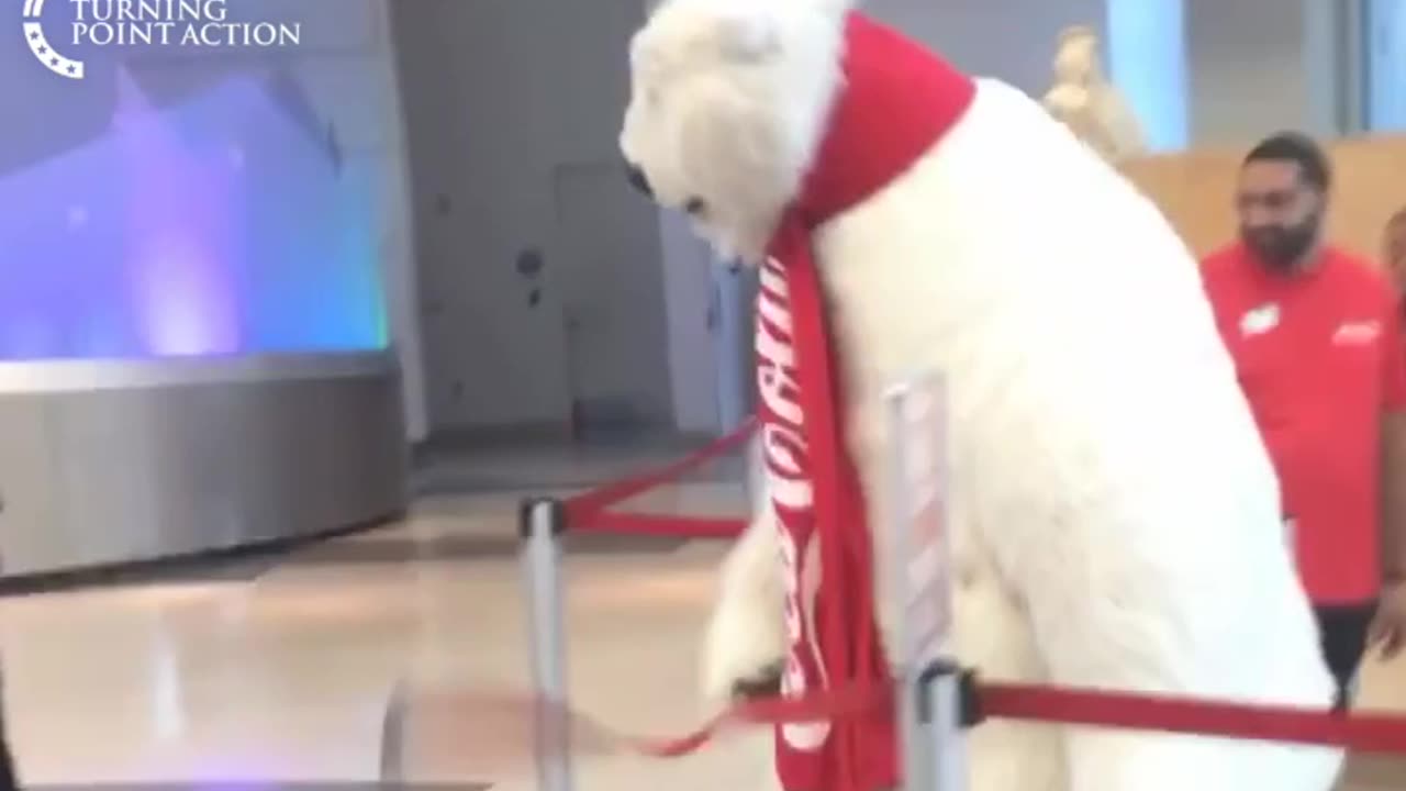 They’re just looking for reasons to steal