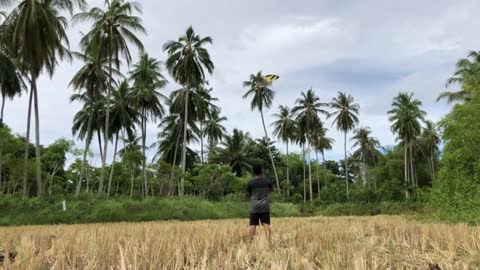 Cara membuat layang layangan ubur ubur dari lidi kelapa - Jellyfish kite