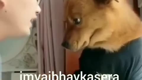 Angry dog with a boy || hindi funny dubbing || comedy 🤣🤣#funnyvideo #comedy #shorts #trending