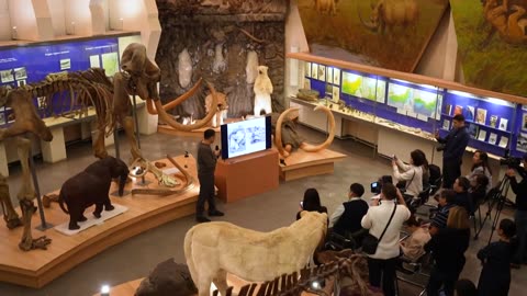 Rusia expone un pequeño mamut casi intacto de más de 50.000 años | AFP