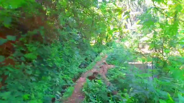 Cinematic to natural beauty, river in natural countryside || BANDUNG WEST JAVA