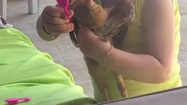 Girl Shows Bird Reflection in Tiny Mirror