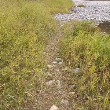 First Nation's Rock Art