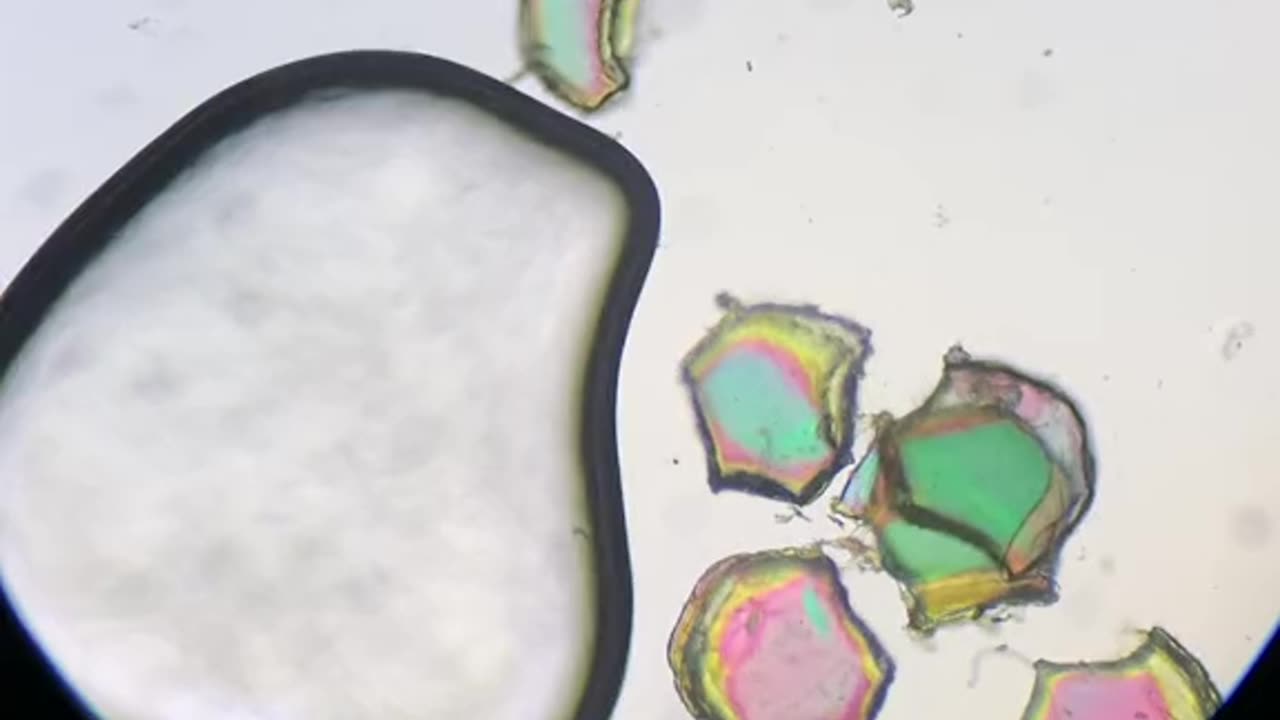 glitter glue is beautiful at 400x under a microscope! #microscope