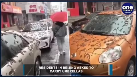 "😱PROPHECY CONFIRMATION CONCERNING WORMS FALLING IN CHINA(God showed me an End time sign)