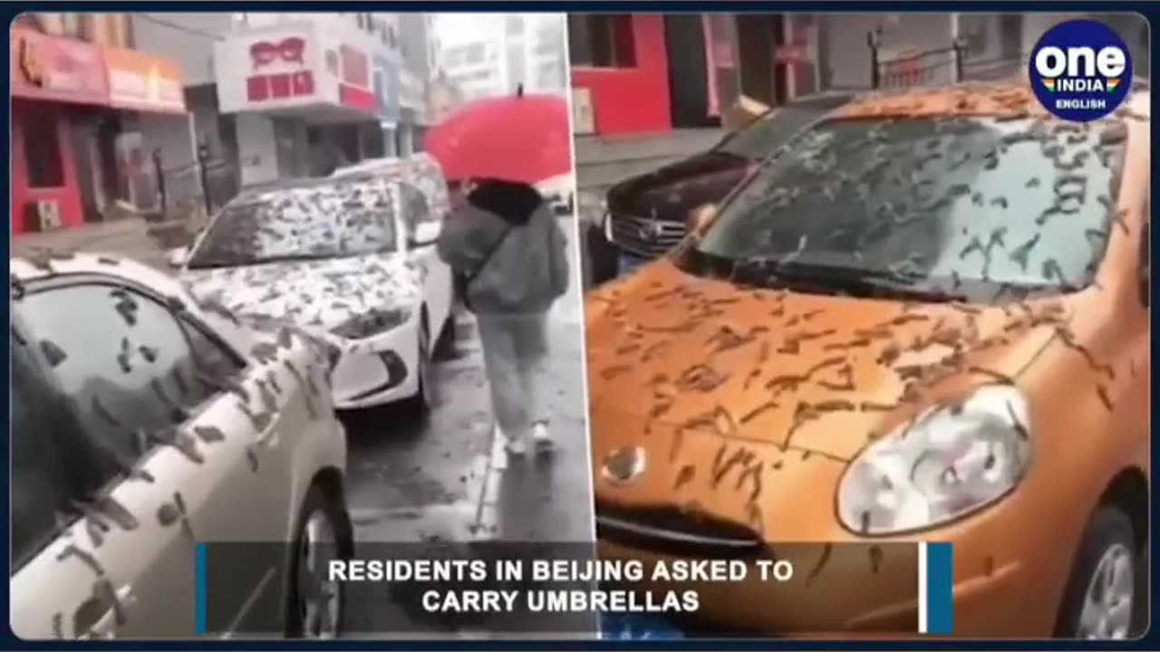 "😱PROPHECY CONFIRMATION CONCERNING WORMS FALLING IN CHINA(God showed me an End time sign)