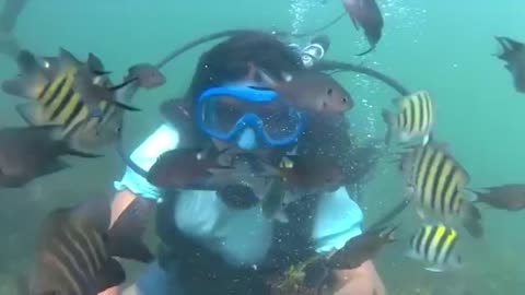 First Scooba diving experience